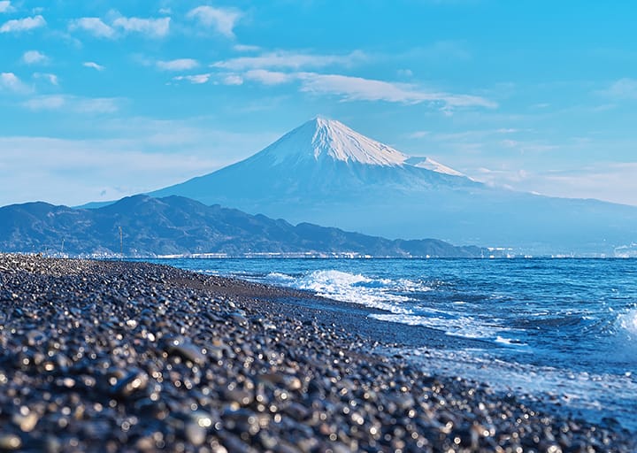 ギャラリー写真