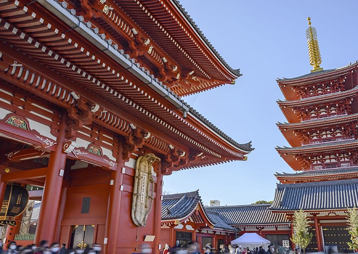 ギャラリー写真