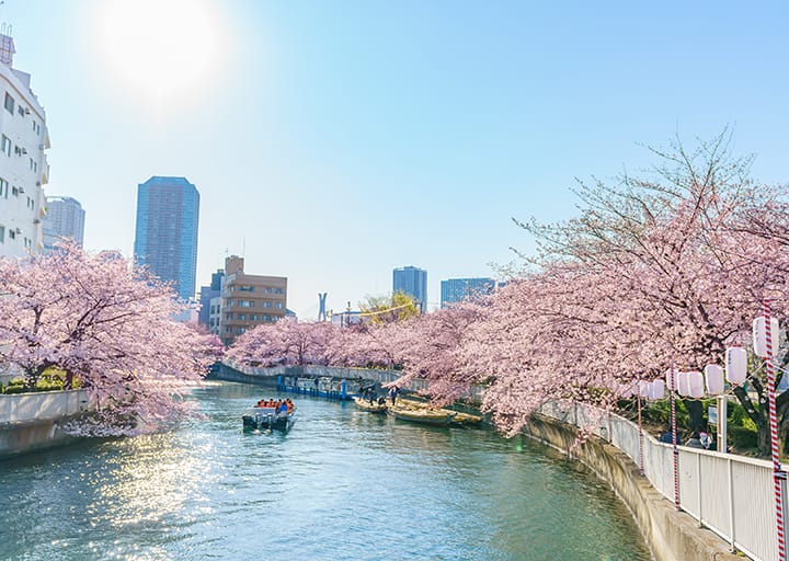 ギャラリー写真