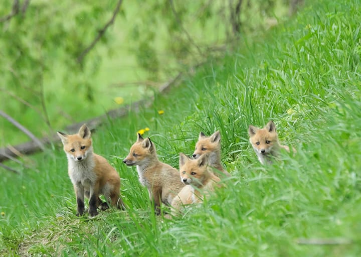 ギャラリー写真