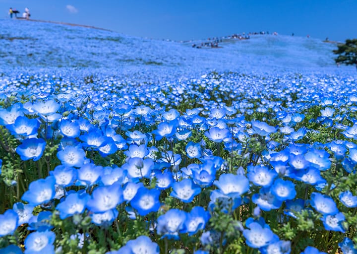 ギャラリー写真
