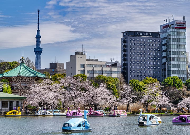 ギャラリー写真