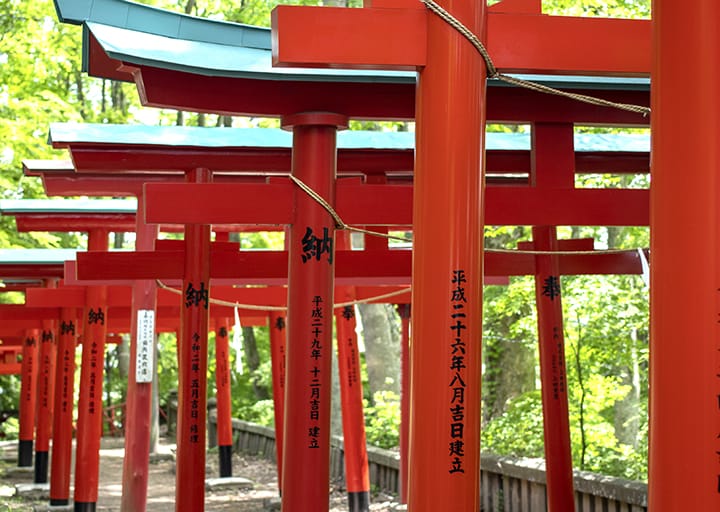 ギャラリー写真