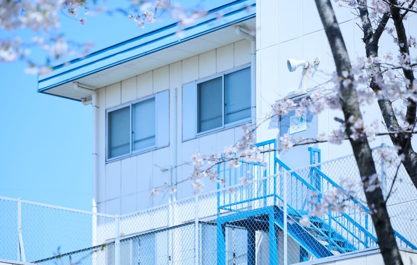ギャラリー写真